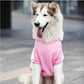 Creative Hoodies For Dogs