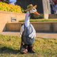 Charming Resin Duck Garden Statue for Garden Decoration