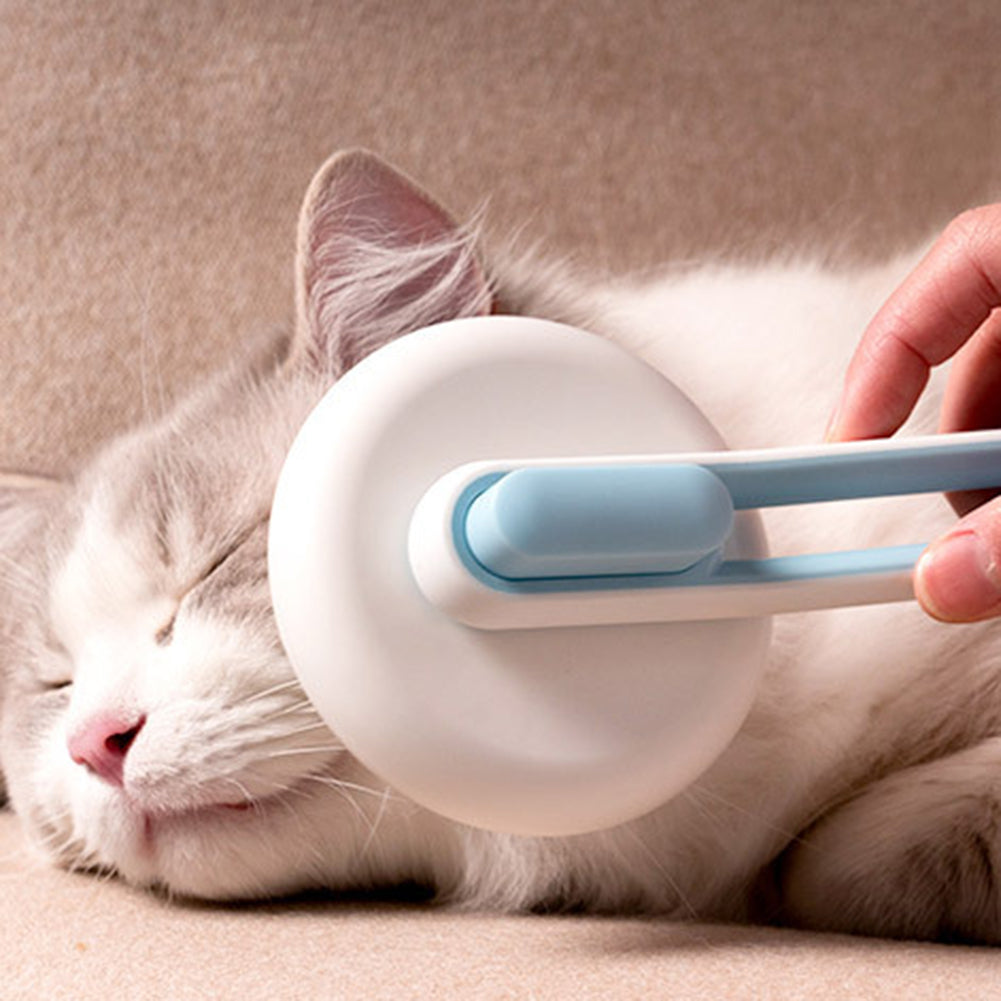 Pet Brush & Hair Remover - Grooming Tool