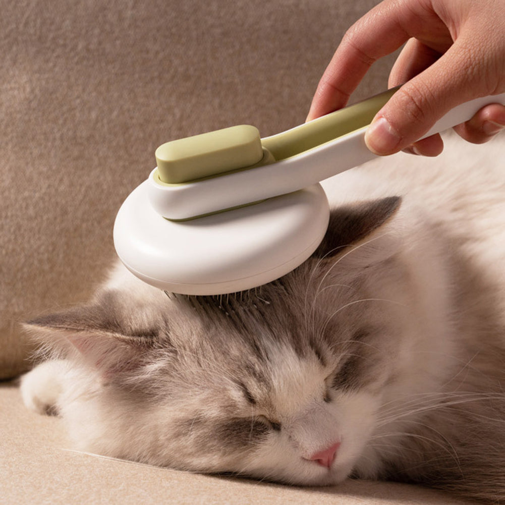 Pet Brush & Hair Remover - Grooming Tool