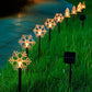 Solar LED Outdoor Floor Lights