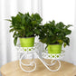 2 Tier Pumpkin Car Style Metal Plant Stand Indoor Outdoor Patio Garden Planter Flower Pot Stand Shelf Home Decor