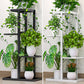4 Tier Iron Craft Plant Flower Stand Candle Holder Flower Pot Shelf Rack