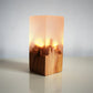 Creative LED Resin Solid Wood USB Night Atmosphere Decoration Light