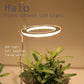 Angel Ring Grow LED Light For Indoor Plants USB Powered
