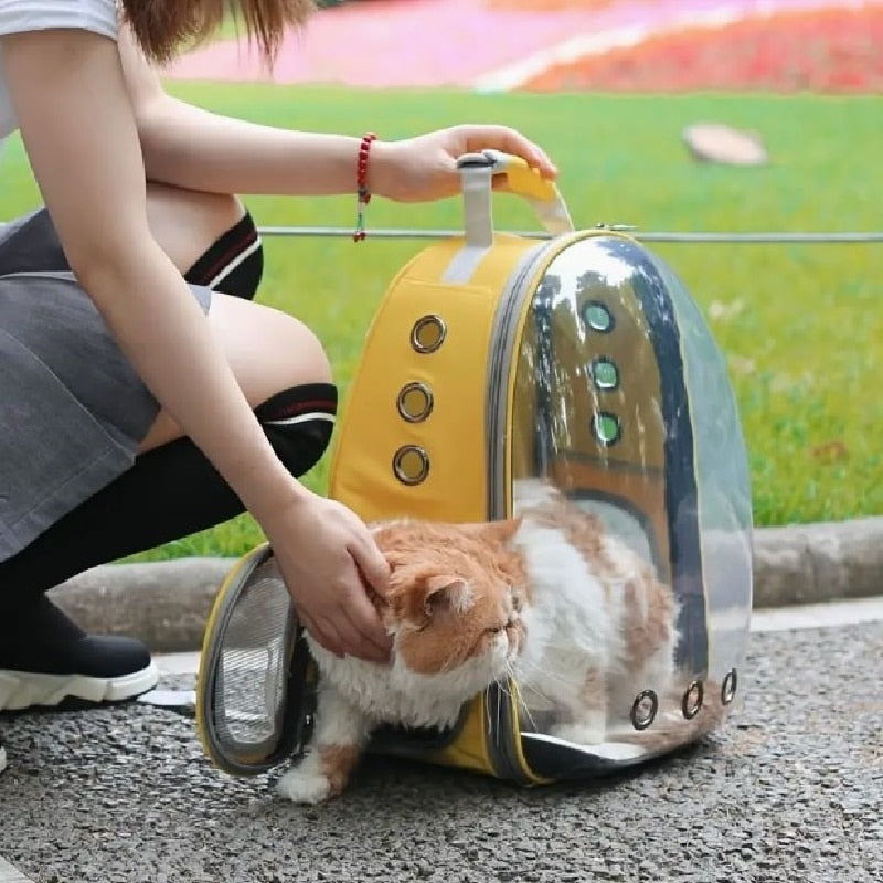 Astronaut Breathable Pet Carrier Backpack