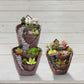 Exquisitely Designed Sky Garden Landscape Decorative Pot