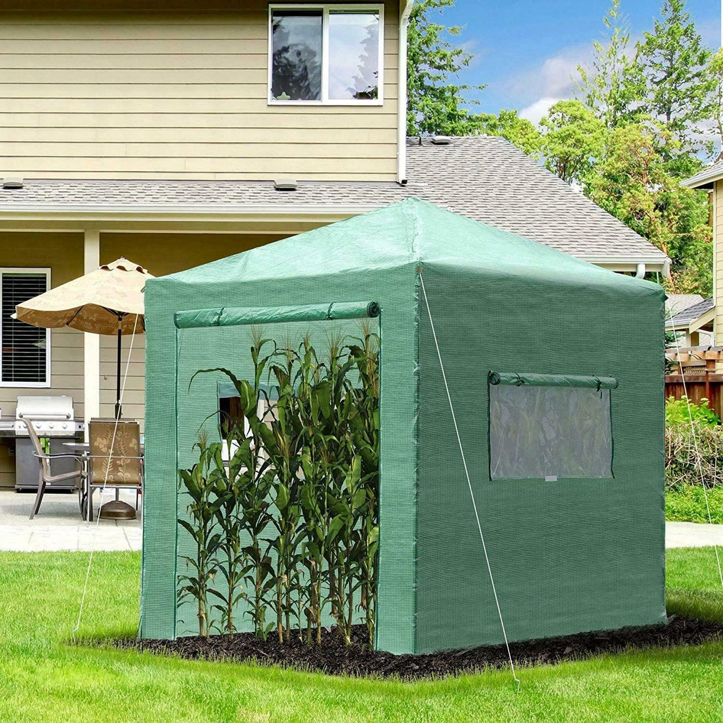 Sunkiso 8'x6' Walk-In Heavy Duty Folding Greenhouse