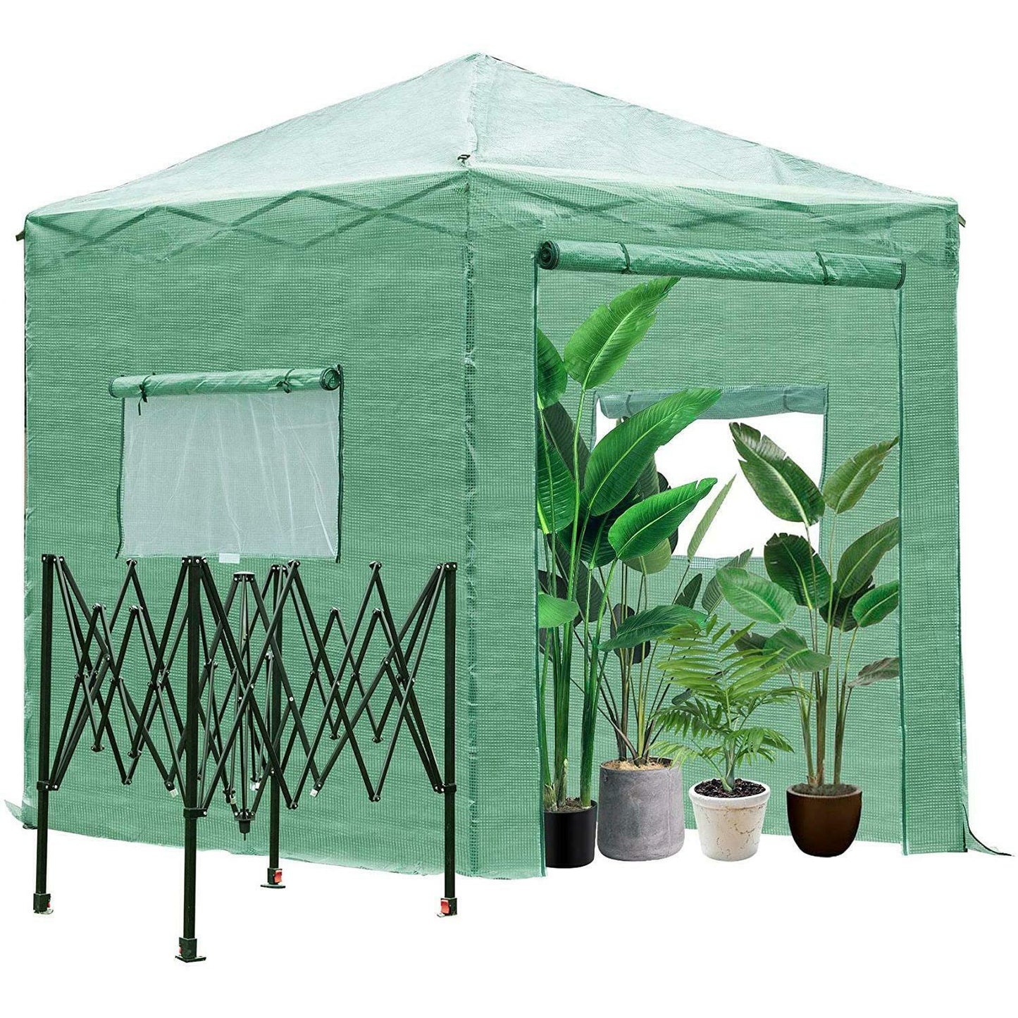 Sunkiso 8'x6' Walk-In Heavy Duty Folding Greenhouse