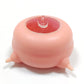 Newborn Pet Milk Feeder